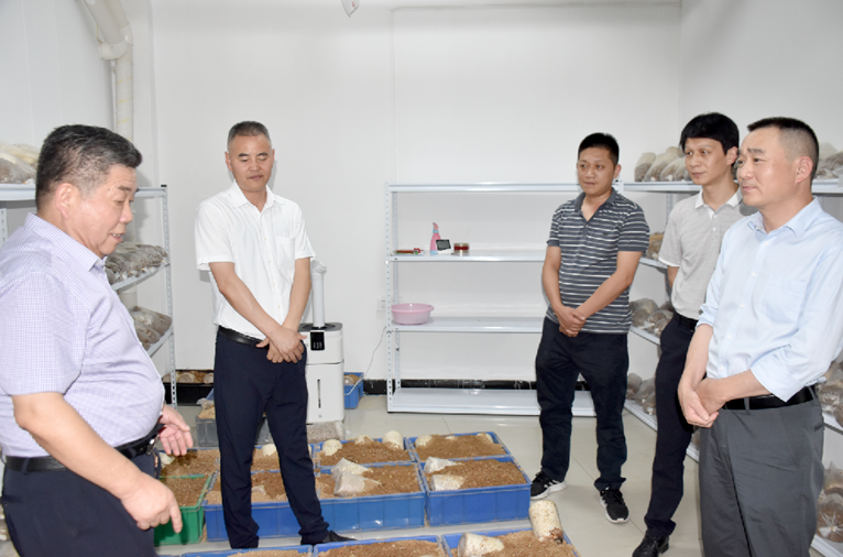 解析博世发动机起停系统